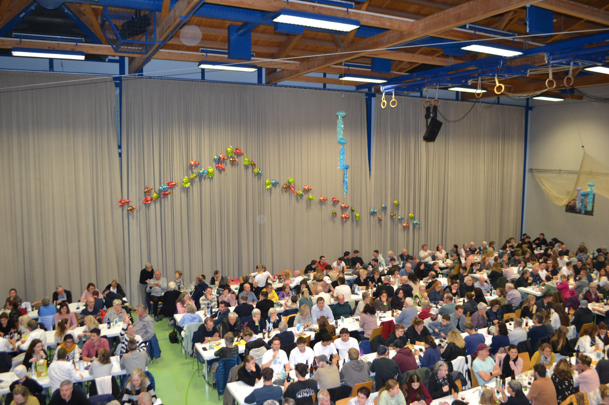 Bild2 (53)
